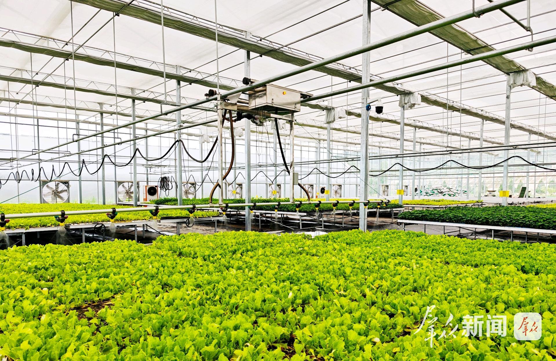 日本政局动荡给经济带来更多不确定性120